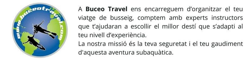 Buceo Travel WEB